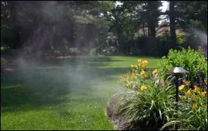 Sprinkler mist drifting over a green lawn beside a daylily garden bed