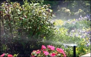 Sprinkler head among purple and pink flowers
