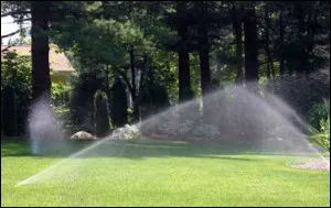 Rotor sprinkler arcing over a lawn beneath tall pines