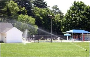 Lawn sprinklers running beside a community pool