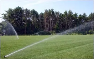 Long-throw sprinkler watering a lawn edged by pines