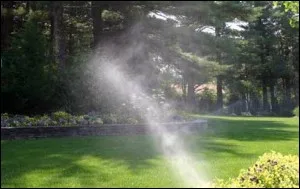 Sprinkler spray crossing a shaded lawn