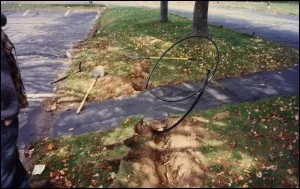 Irrigation tubing laid in a trench beside a driveway
