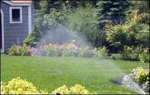 Sprinklers watering the garden and lawn beside a home